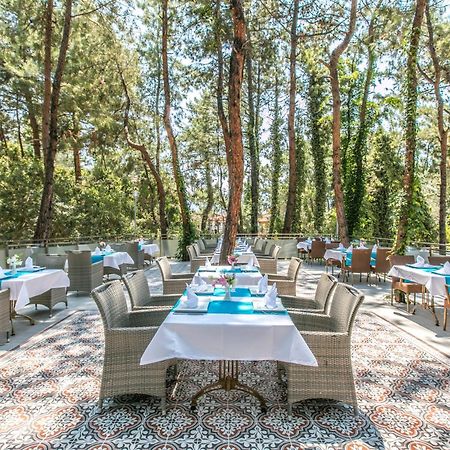 Pine Club Apart Hotel Κουσάντασι Εξωτερικό φωτογραφία