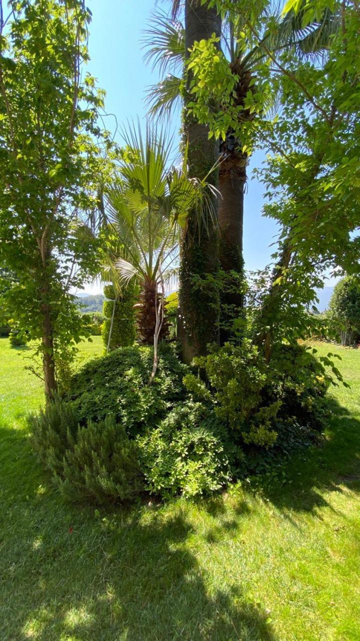 Pine Club Apart Hotel Κουσάντασι Εξωτερικό φωτογραφία