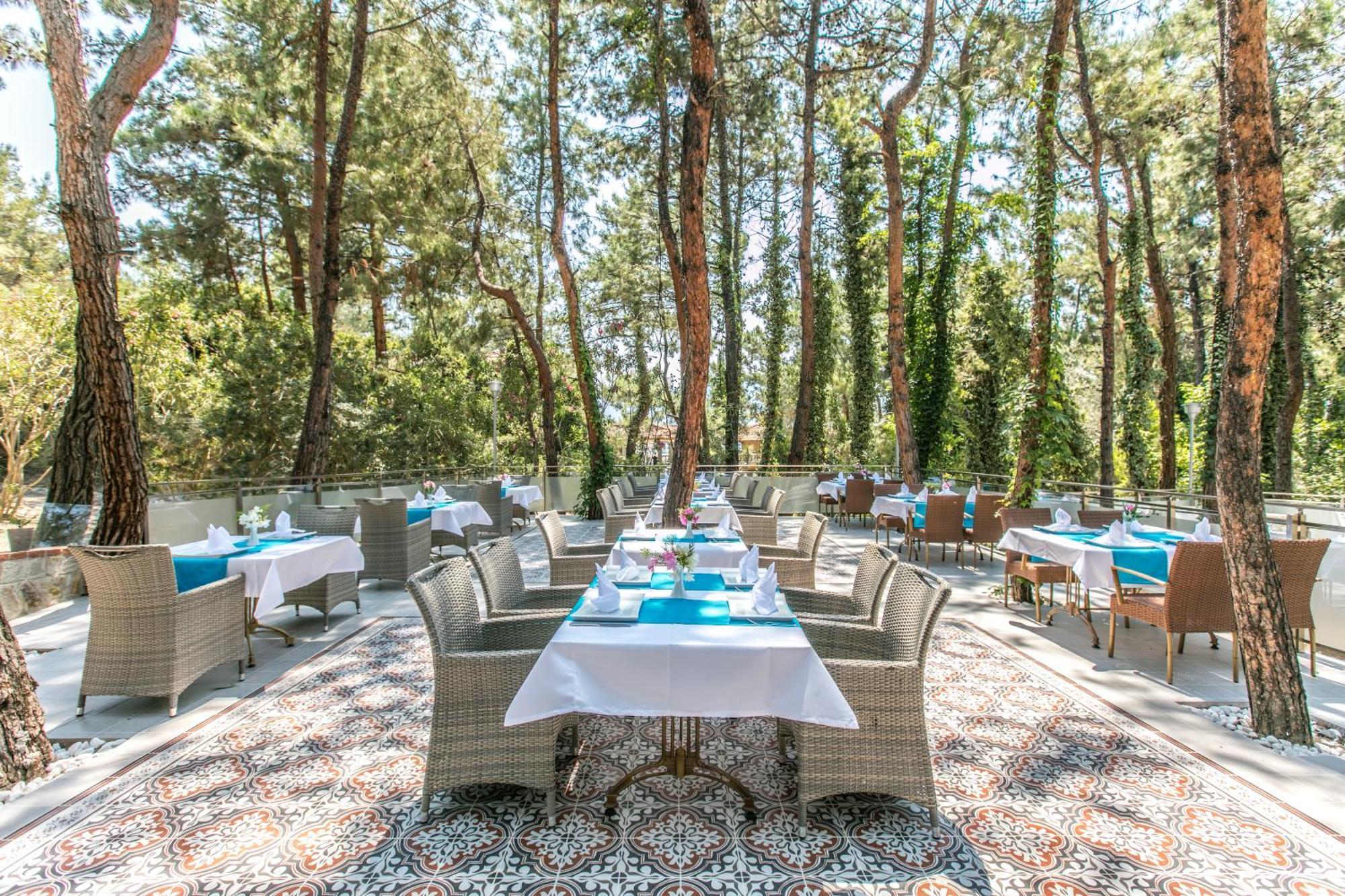 Pine Club Apart Hotel Κουσάντασι Εξωτερικό φωτογραφία
