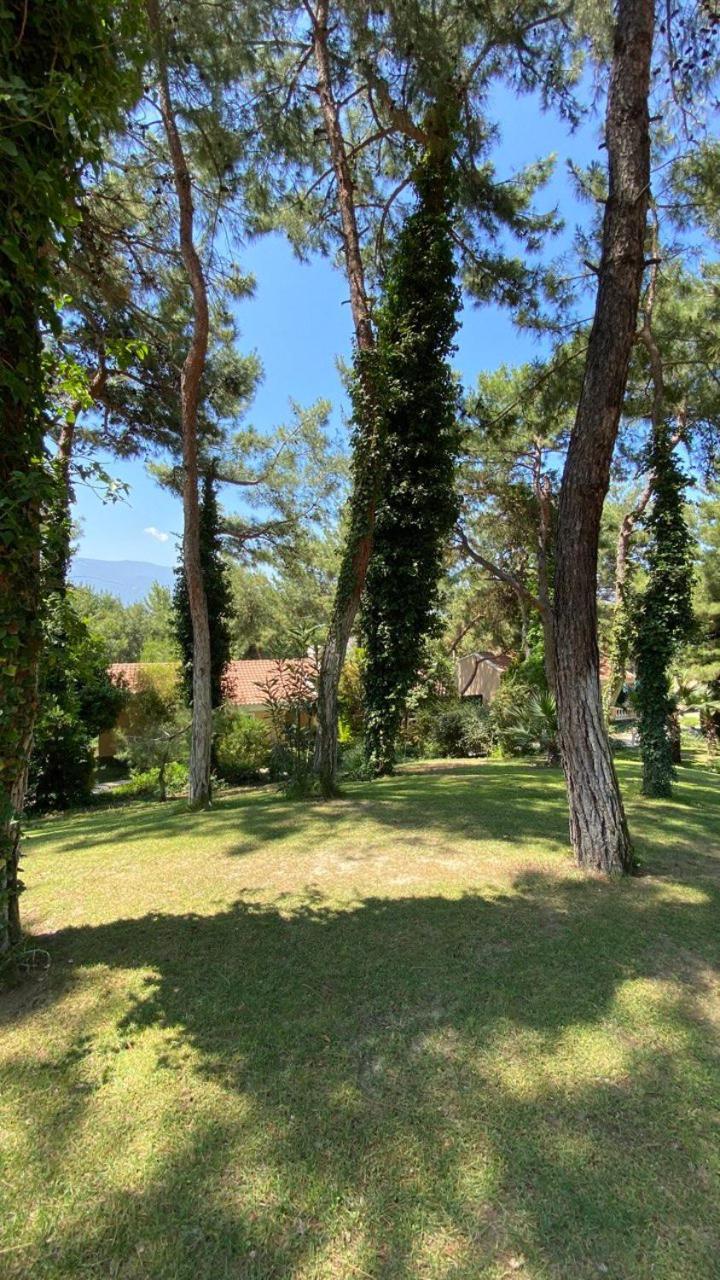 Pine Club Apart Hotel Κουσάντασι Εξωτερικό φωτογραφία