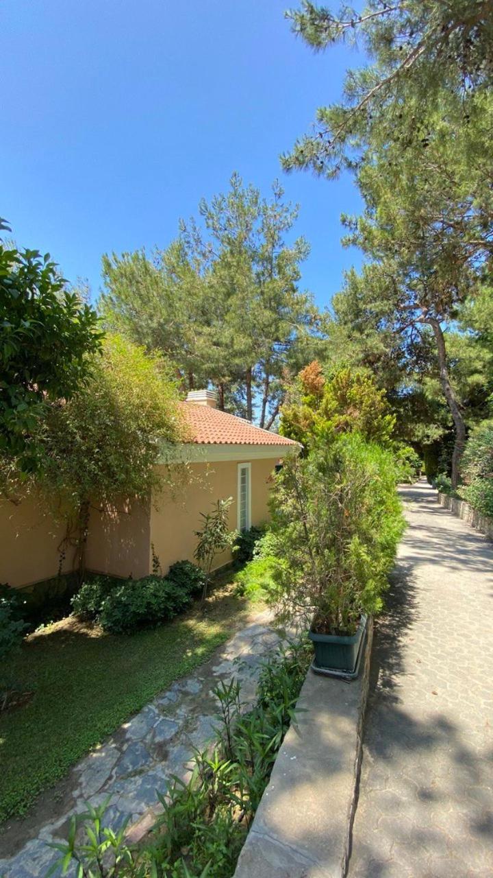 Pine Club Apart Hotel Κουσάντασι Εξωτερικό φωτογραφία