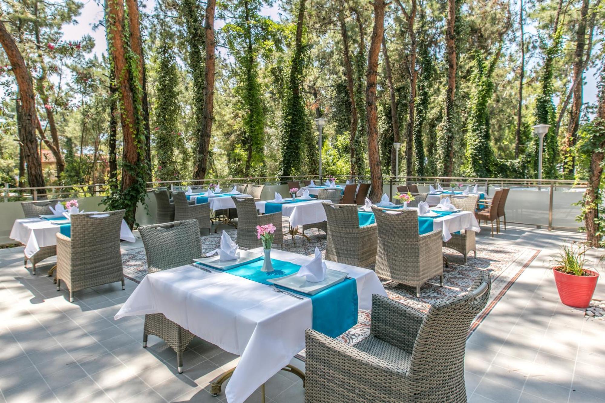Pine Club Apart Hotel Κουσάντασι Εξωτερικό φωτογραφία